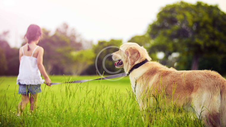 Engagement envers la Qualité
